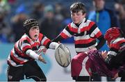 23 February 2018; Action from the Bank of Ireland Half-Time Minis match between Enniscorthy RFC, Wexford and Tullow RFC, Carlow, during the Guinness PRO14 Round 16 match between Leinster and Southern Kings at the RDS Arena in Dublin. Photo by Brendan Moran/Sportsfile
