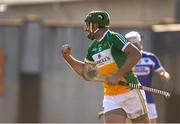 25 February 2018; Joe Bergin of Offaly celebrates after scoring his side's first goal during the Allianz Hurling League Division 1B Round 4 match between Offaly and Laois at Bord Na Móna O’Connor Park in Offaly. Photo by Sam Barnes/Sportsfile