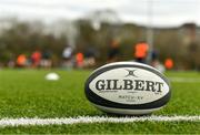 26 February 2018; A general view of a ball during Munster Rugby squad training at the University of Limerick in Limerick. Photo by Diarmuid Greene/Sportsfile