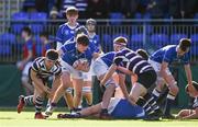 7 March 2018; Adam Mulvihill of St Mary's College during the Bank of Ireland Leinster Schools Junior Cup Round 2 match between St. Mary's College and Terenure College at Donnybrook Stadium in Dublin. Photo by Daire Brennan/Sportsfile