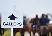 12 March 2018; A general view of a sign for the gallops ahead of the Cheltenham Festival at Prestbury Park, in Cheltenham, England. Photo by Seb Daly/Sportsfile