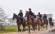 12 March 2018; Getabird, with Sonny Carey up, and Wicklow Brave, with Patrick Mullins up, on the gallops ahead of the Cheltenham Racing Festival at Prestbury Park in Cheltenham, England. Photo by Ramsey Cardy/Sportsfile