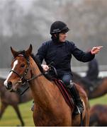 12 March 2018; Faugheen, with Ruby Walsh up, on the gallops ahead of the Cheltenham Racing Festival at Prestbury Park in Cheltenham, England. Photo by Ramsey Cardy/Sportsfile