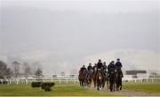 12 March 2018; Horses from the Gordon Elliott stable on the gallops ahead of the Cheltenham Racing Festival at Prestbury Park in Cheltenham, England. Photo by Ramsey Cardy/Sportsfile