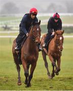 12 March 2018; Footpad, left, with Sayed Raza up, on the gallops ahead of the Cheltenham Festival at Prestbury Park, in Cheltenham, England. Photo by Seb Daly/Sportsfile