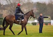 12 March 2018; Trainer Henry de Bromhead on the gallops ahead of the Cheltenham Festival at Prestbury Park, in Cheltenham, England. Photo by Seb Daly/Sportsfile