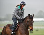 12 March 2018; Douvan, with Hollie Conte up, on the gallops ahead of the Cheltenham Festival at Prestbury Park, in Cheltenham, England. Photo by Seb Daly/Sportsfile