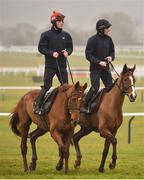 12 March 2018; Yorkhill, with David Mullins up, left, and Faugheen, with Ruby Walsh up, right, on the gallops ahead of the Cheltenham Festival at Prestbury Park, in Cheltenham, England. Photo by Seb Daly/Sportsfile