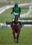 13 March 2018; Jockey Ruby Walsh celebrates after winning the Racing Post Arkle Challenge Trophy Steeple Chase on Footpad on Day One of the Cheltenham Racing Festival at Prestbury Park in Cheltenham, England. Photo by Seb Daly/Sportsfile