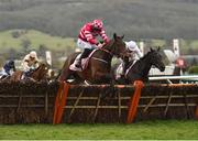 14 March 2018; Veneer Of Charm, with Jack Kennedy up jump the last on their way to winning The Boodles Fred Winter Juvenile Handicap Hurdle on Day Two of the Cheltenham Racing Festival at Prestbury Park in Cheltenham, England. Photo by Seb Daly/Sportsfile