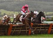 14 March 2018; Veneer Of Charm, with Jack Kennedy up jump the last on their way to winning The Boodles Fred Winter Juvenile Handicap Hurdle on Day Two of the Cheltenham Racing Festival at Prestbury Park in Cheltenham, England. Photo by Seb Daly/Sportsfile
