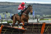 15 March 2018; Laurina, with Paul Townend up, jump the last on their way to winning the Trull House Stud Mares Novices’ Hurdle on Day Three of the Cheltenham Racing Festival at Prestbury Park in Cheltenham, England. Photo by Ramsey Cardy/Sportsfile