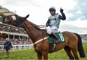 15 March 2018; Jockey Noel McParlan celebrates after winning the Fulke Walwyn Kim Muir Challenge Cup Handicap Steeple Chase on Missed Approach on Day Three of the Cheltenham Racing Festival at Prestbury Park in Cheltenham, England. Photo by Seb Daly/Sportsfile