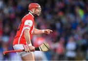 24 March 2018; David Treacy of Cuala urges on his team-mates during the AIB GAA Hurling All-Ireland Senior Club Championship Final replay match between Cuala and Na Piarsaigh at O'Moore Park in Portlaoise, Laois. Photo by Piaras Ó Mídheach/Sportsfile