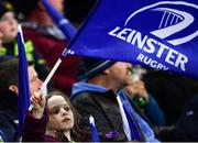 24 March 2018; A Leinster supporter during the Guinness PRO14 Round 18 match between Ospreys and Leinster at the Liberty Stadium in Swansea, Wales. Photo by Ramsey Cardy/Sportsfile