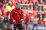 24 March 2018; Munster strength and conditioning coach Adam Sheehan prior to the Guinness PRO14 Round 18 match between Munster and Scarlets at Thomond Park in Limerick. Photo by Diarmuid Greene/Sportsfile