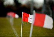 1 April 2018; A general view of flags along the sideline ahead of the Lidl Ladies Football National League Division 1 Round 7 match between Galway and Cork at Clonberne GAA Pitch in Ballinasloe, Co Galway. Photo by Eóin Noonan/Sportsfile