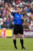 1 April 2018; Referee Colm Lyons during the Allianz Hurling League Division 1 semi-final match between Wexford and Kilkenny at Innovate Wexford Park in Wexford. Photo by Matt Browne/Sportsfile