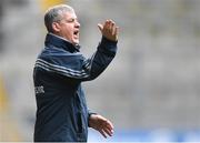 1 April 2018; Roscommon manager Kevin McStay during the Allianz Football League Division 2 Final match between Cavan and Roscommon at Croke Park in Dublin. Photo by Piaras Ó Mídheach/Sportsfile