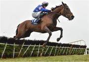 2 April 2018; Western Ruler, with Rachael Blackmore up, jumps the last on their way to winning the Farmhouse Foods Novice Handicap Hurdle on Day 2 of the Fairyhouse Easter Festival at Fairyhouse Racecourse in Meath. Photo by Seb Daly/Sportsfile