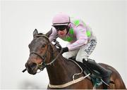 2 April 2018; Getabird, with Paul Townend up, on their way to winning the Rathbarry & Glenview Studs Novice Hurdle on Day 2 of the Fairyhouse Easter Festival at Fairyhouse Racecourse in Meath. Photo by Seb Daly/Sportsfile