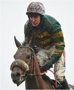 2 April 2018; Damalisque, with Barry Geraghty up, following the Rathbarry & Glenview Studs Novice Hurdle on Day 2 of the Fairyhouse Easter Festival at Fairyhouse Racecourse in Meath. Photo by David Fitzgerald/Sportsfile