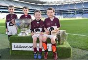 3 April 2018; Players from Delvin GAA, Co Westmeath, pictured with the Sam Maguire and Liam MacCarthy Trophies during Day 1 of the The Go Games Provincial days in partnership with Littlewoods Ireland at Croke Park in Dublin. Photo by Sam Barnes/Sportsfile