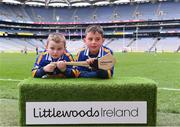 4 April 2018; Players from Castlepollard Gaa Club, Westmeath, during Day 2 of the The Go Games Provincial days in partnership with Littlewoods Ireland at Croke Park in Dublin. Photo by Eóin Noonan/Sportsfile
