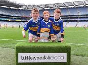 4 April 2018; Players from Castlepollard Gaa Club, Westmeath, during Day 2 of the The Go Games Provincial days in partnership with Littlewoods Ireland at Croke Park in Dublin. Photo by Eóin Noonan/Sportsfile