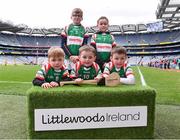 4 April 2018; Players from Rathdowney-Errill GAA Club, Laois, during Day 2 of the The Go Games Provincial days in partnership with Littlewoods Ireland at Croke Park in Dublin. Photo by Eóin Noonan/Sportsfile