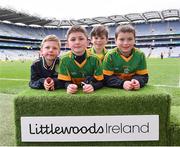 4 April 2018; Players from St. Brigids Blackwater GAA Club, Wexford, during Day 2 of the The Go Games Provincial days in partnership with Littlewoods Ireland at Croke Park in Dublin. Photo by Eóin Noonan/Sportsfile