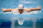 6 April 2018; Matthew Gardiner of NAC Swim Club competing in the preliminaries of the Men's 400m IM event during the Irish Open Swimming Championships at the National Aquatic Centre in Abbotstown, Dublin. Photo by Stephen McCarthy/Sportsfile