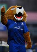 14 April 2018; Leinster mascot Leo the Lion during the Guinness PRO14 Round 20 match between Leinster and Benetton Rugby at the RDS Arena in Dublin. Photo by Brendan Moran/Sportsfile