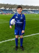 14 April 2018; Mascot Kevin Howard, from Malahide, Dublin, prior to the Guinness PRO14 Round 20 match between Leinster and Benetton Rugby at the RDS Arena in Ballsbridge, Dublin. Photo by Brendan Moran/Sportsfile