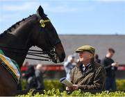 25 April 2018; A racegoer watches on during the Racehorse to Riding Horse parade prior to racing at Punchestown Racecourse in Naas, Co. Kildare. Photo by Seb Daly/Sportsfile