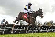 25 April 2018; Pravalaguna, with Paul Townend up, jumps the last on their way to winning the Louis Fitzgerald Hotel Hurdle at Punchestown Racecourse in Naas, Co. Kildare. Photo by Seb Daly/Sportsfile