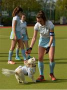 28 April 2018; UCD team captain Deirdre Duke with her dog Ralf during the celebrations after the Women's EY Hockey League match between UCD and Monkstown at UCD in Belfield, Dublin. Photo by Piaras Ó Mídheach/Sportsfile