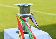24 March 2018; A general view of the cup before the Allianz Hurling League Division 2A Final match between Westmeath and Carlow at O'Moore Park in Portlaoise, Laois. Photo by Piaras Ó Mídheach/Sportsfile