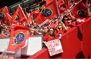 5 May 2018; Munster fans prior to the Guinness PRO14 semi-final play-off match between Munster and Edinburgh at Thomond Park in Limerick. Photo by David Fitzgerald/Sportsfile