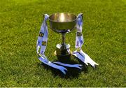 6 May 2018; The Division 2 cup before the Lidl Ladies Football National League Division 2 Final match between Cavan and Tipperary at Parnell Park in Dublin. Photo by Piaras Ó Mídheach/Sportsfile