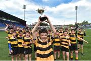 7 May 2018; Newbridge players celebrate their side's victory in the U13 McGowan Cup match between Naas and Newbridge at the Leinster Rugby Youth Finals Day at Energia Park, in Donnybrook, Dublin. Photo by David Fitzgerald/Sportsfile