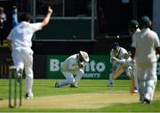 12 May 2018; Paul Stirling of Ireland, centre, catches Babar Azam of Pakistan in the slips, off a delivery from Tim Murtagh during day two of the International Cricket Test match between Ireland and Pakistan at Malahide, in Co. Dublin. Photo by Seb Daly/Sportsfile