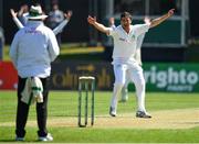 12 May 2018; Tim Murtagh of Ireland appeals for a wicket during day two of the International Cricket Test match between Ireland and Pakistan at Malahide, in Co. Dublin. Photo by Seb Daly/Sportsfile