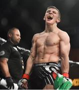 12 May 2018; Blaine O'Driscoll celebrates after defeating Aaron Robinson following their flyweight bout at BAMMA 35 at the 3 Arena in Dublin. Photo by David Fitzgerald/Sportsfile