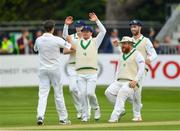 13 May 2018; Tim Murtagh, left, is congratulated by team-mates, from left, William Porterfield, Paul Stirling and Andrew Balbirnie after claiming the wicket of Shadab Khan of Pakistan during day three of the International Cricket Test match between Ireland and Pakistan at Malahide, in Co. Dublin. Photo by Seb Daly/Sportsfile