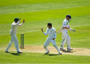 13 May 2018; Mohammad Abbas of Pakistan, centre, celebrates after trapping Niall O'Brien of Ireland, right, LBW during day three of the International Cricket Test match between Ireland and Pakistan at Malahide, in Co. Dublin. Photo by Seb Daly/Sportsfile