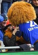 12 May 2018; Leo The Lion interacts with fans during the European Rugby Champions Cup Final match between Leinster and Racing 92 at the San Mames Stadium in Bilbao, Spain. Photo by Brendan Moran/Sportsfile