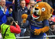12 May 2018; Leo The Lion interacts with fans during the European Rugby Champions Cup Final match between Leinster and Racing 92 at the San Mames Stadium in Bilbao, Spain. Photo by Brendan Moran/Sportsfile
