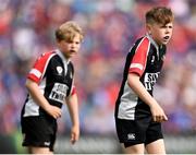19 May 2018; Action from the Bank of Ireland Half-Time Minis between Cill Dara RFC and Roscrea RFC at the Guinness PRO14 semi-final match between Leinster and Munster at the RDS Arena in Dublin. Photo by Stephen McCarthy/Sportsfile