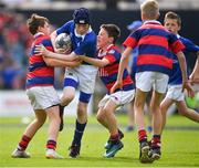 19 May 2018; Action from the Bank of Ireland Half-Time Minis between St Mary's College RFC and Clontarf RFC at the Guinness PRO14 semi-final match between Leinster and Munster at the RDS Arena in Dublin. Photo by Brendan Moran/Sportsfile